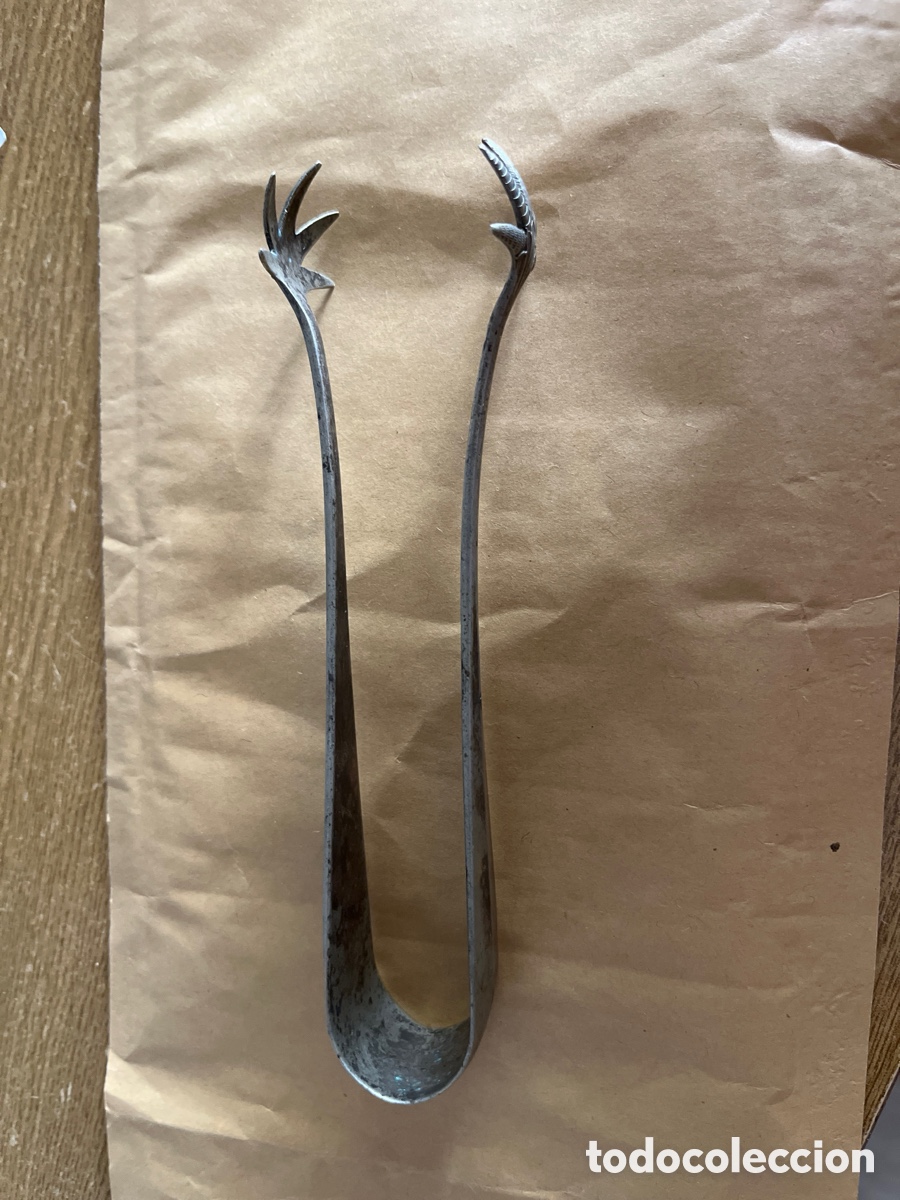 Antig&uuml;edades: Pinzas para terrones de az&uacute;car en garra - Foto 7