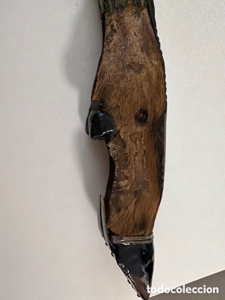 Antig&uuml;edades: Navaja pata de cabra - Foto 2