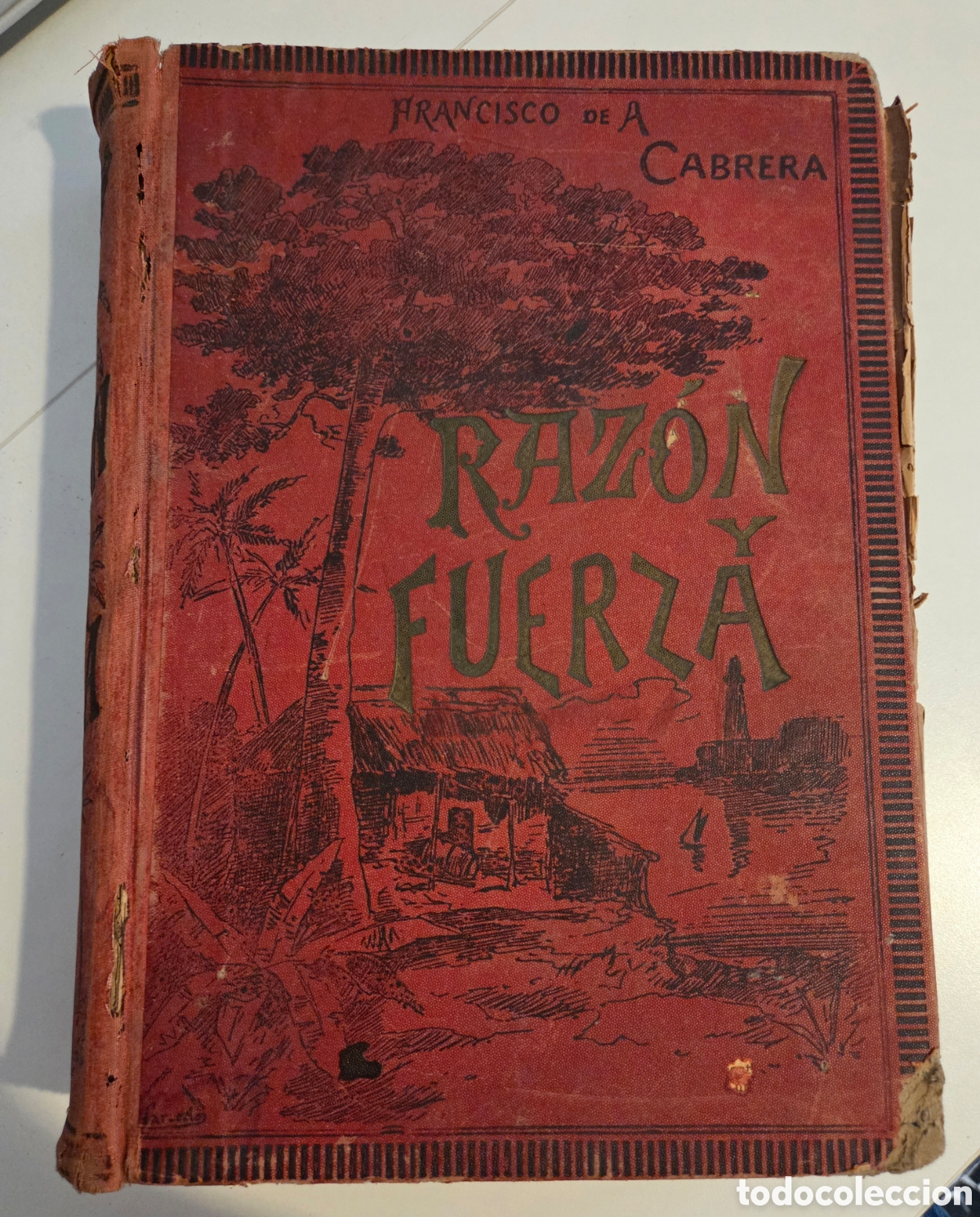 Antig&uuml;edades: Libro antiguo: Raz&oacute;n y fuerza