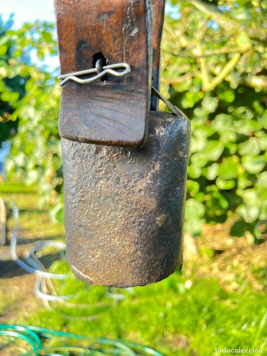 Antig&uuml;edades: Cencerro para macho cabr&iacute;o 36 cm - Foto 2