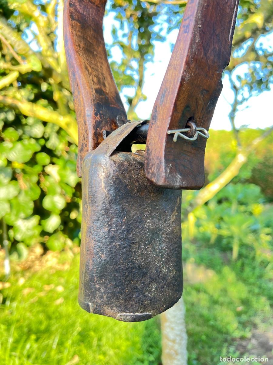 Antig&uuml;edades: Cencerro para macho cabr&iacute;o 36 cm - Foto 3