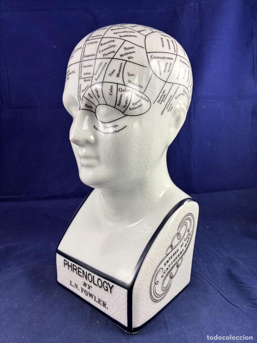 Antig&uuml;edades: Busto frenolog&iacute;a cer&aacute;mica, detallado. L.N. Fowler mitad siglo XX Muy buen estado. 30 cm altura.