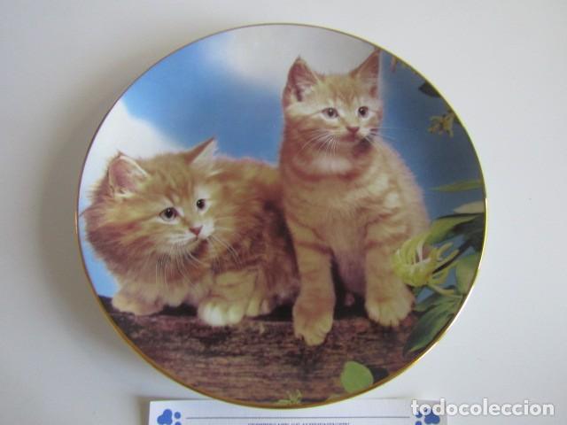 Antig&uuml;edades: PRECIOSO PLATO DE PORCELANA FRANKLIN MINT &rdquo;SUGAR & SPICE&rdquo; REPRESENTANDO A GATOS