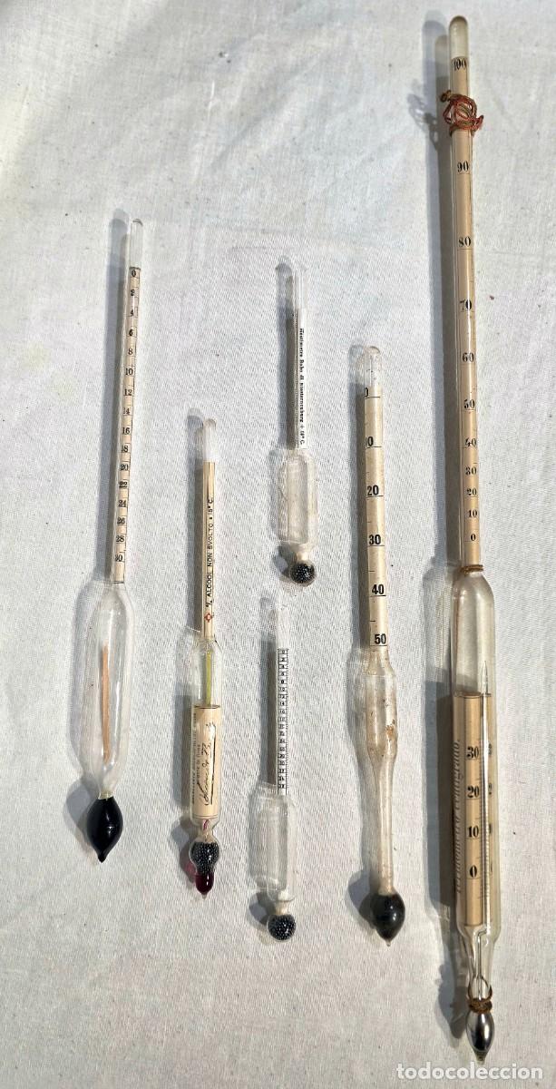 Antig&uuml;edades: Set di 5 Desimetri/ mostimeri inizio XX secolo