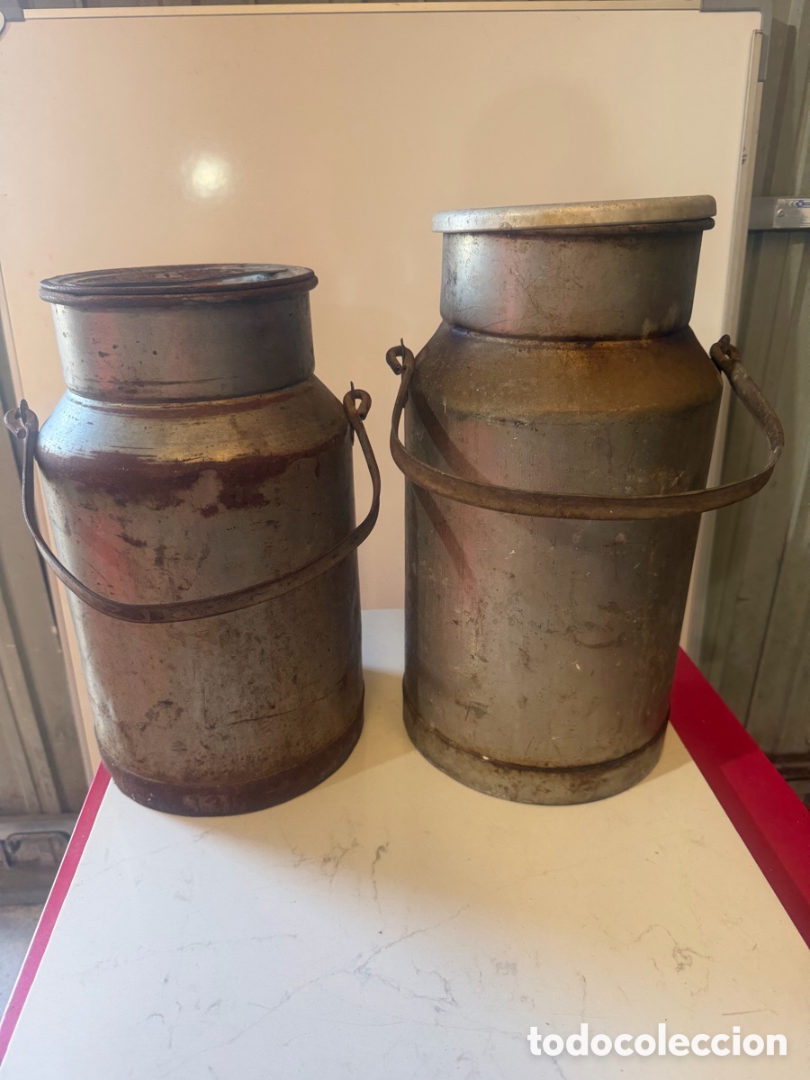 Antig&uuml;edades: Pareja de c&aacute;ntaras antiguas de leche