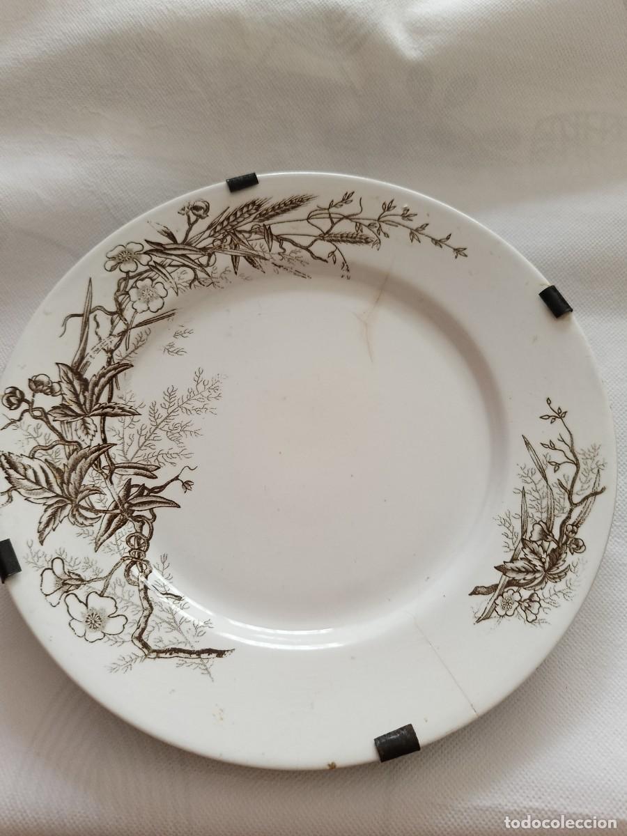 Plato con ramajes marr&oacute;n. Pickman