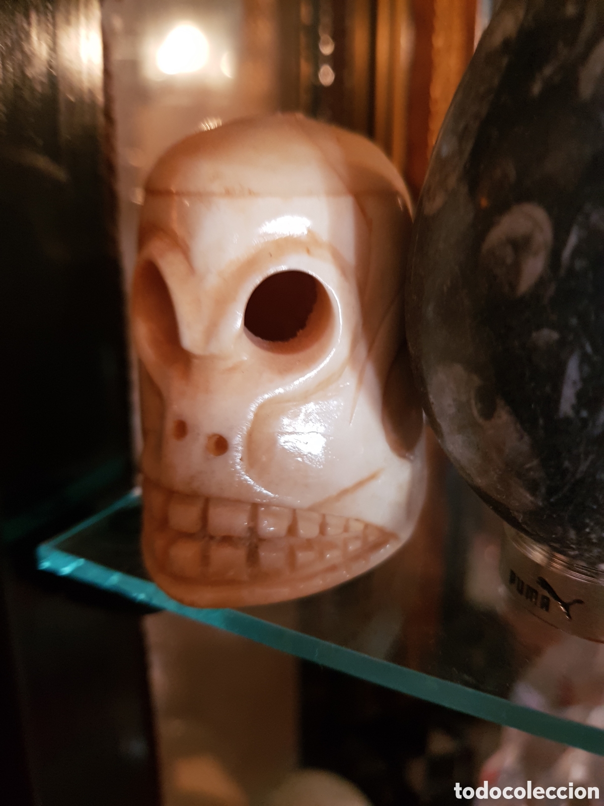 Antig&uuml;edades: ANTIGUA CALAVERA DE HUESO DEL TIBET