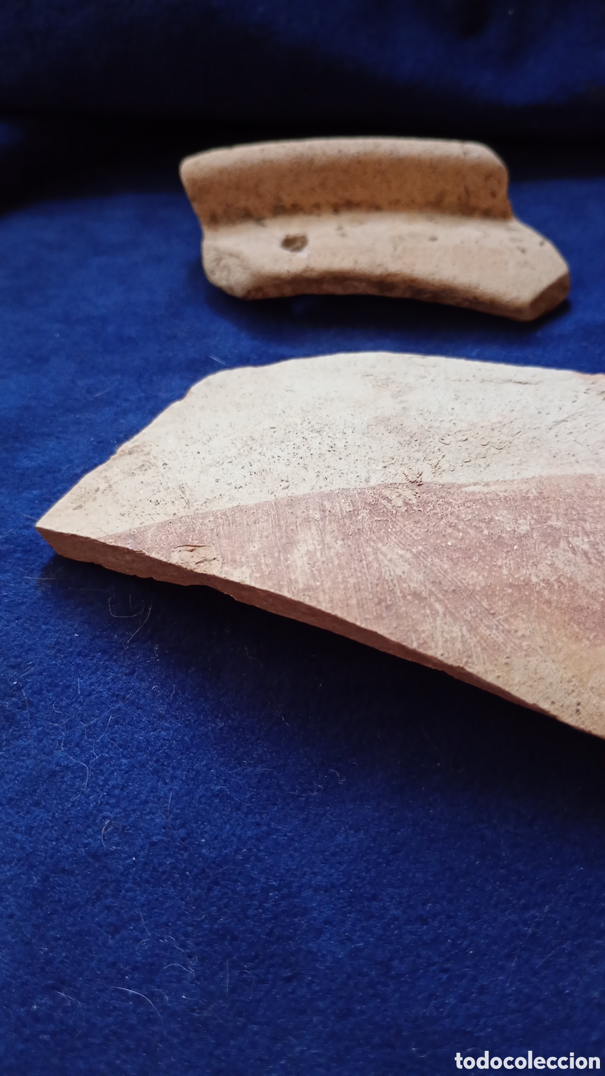 Antig&uuml;edades: FRAGMENTOS RECIPIENTE CER&Aacute;MICA TARTESICA (Orza ) DECORADA ENGOBE VINOSO
