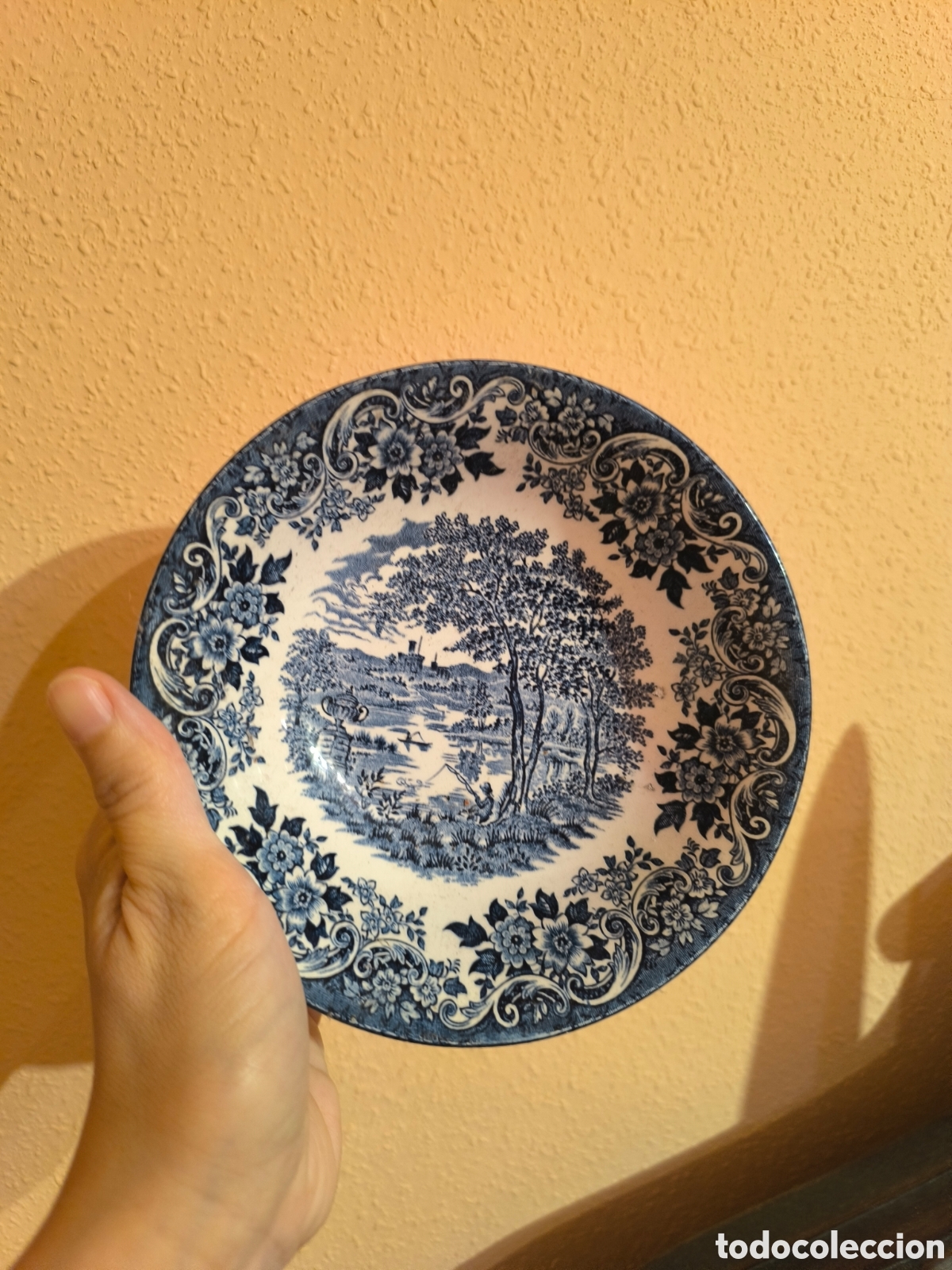 Antig&uuml;edades: Platos porcela inglesa