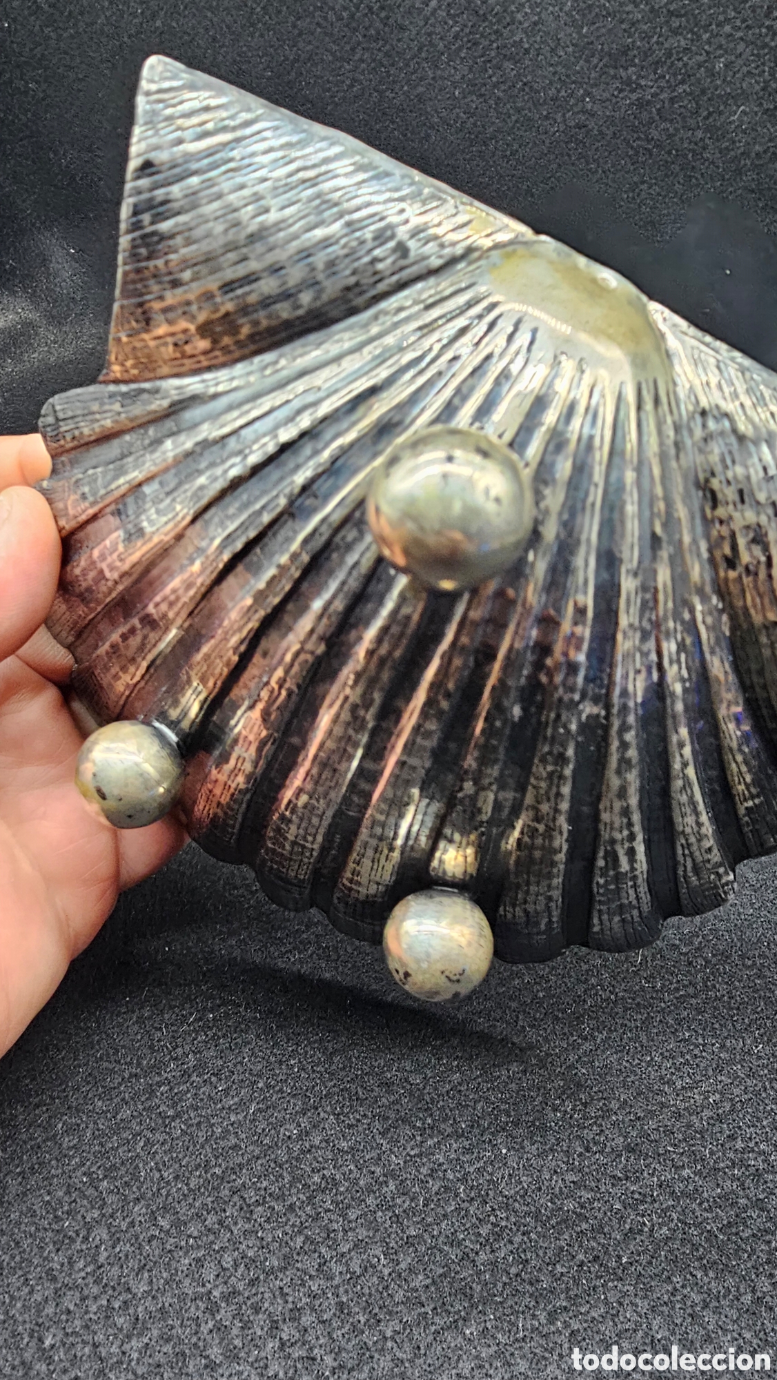 Antig&uuml;edades: Concha de plata de ley contrastada - Foto 7