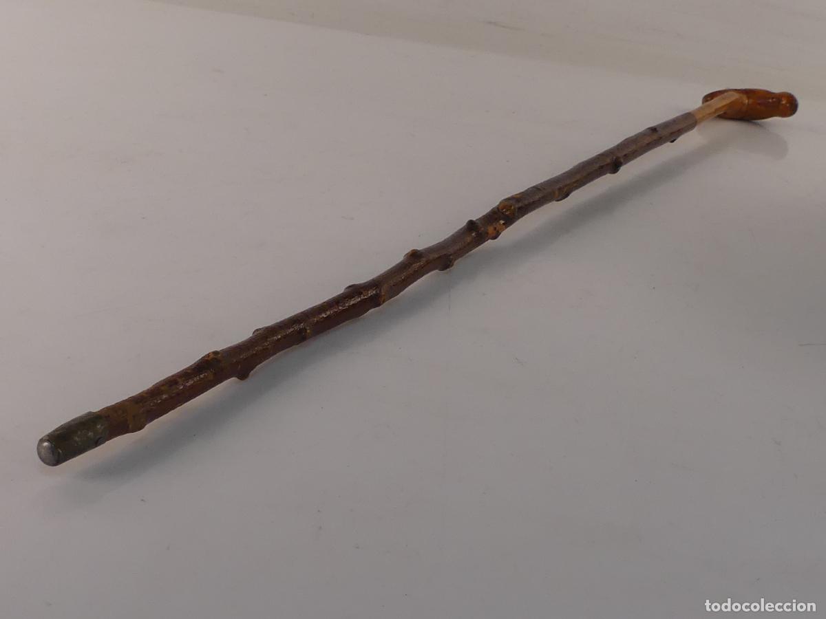 Antig&uuml;edades: BASTON DE MADERA OBJETO DE COLECCION - Foto 6
