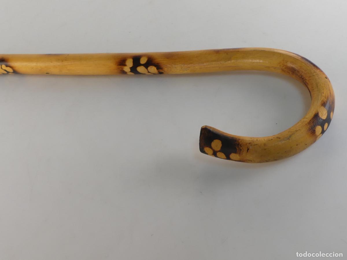 Antig&uuml;edades: BASTON DE MADERA OBJETO DE COLECCION - Foto 2
