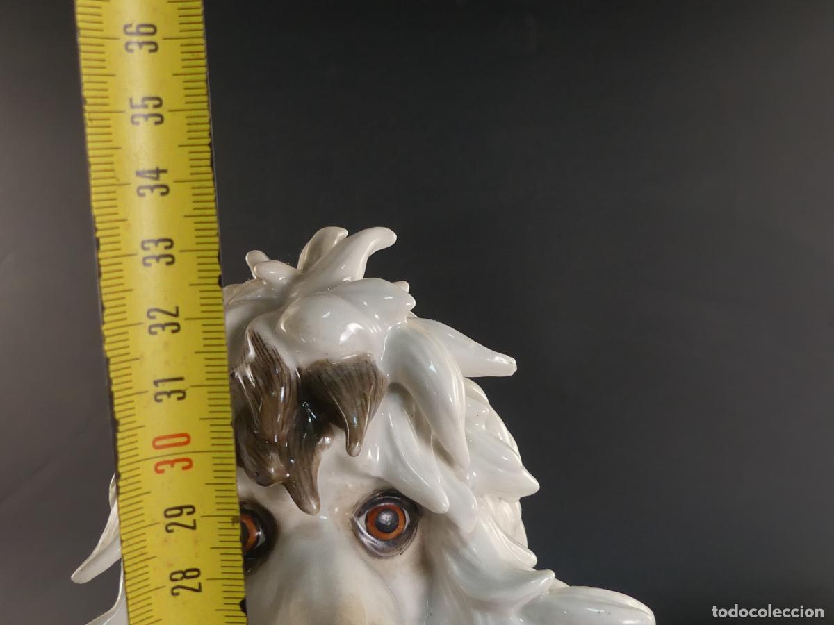 Antig&uuml;edades: FIGURA DE PERRO DE PORCELANA DE ALGORA - Foto 9