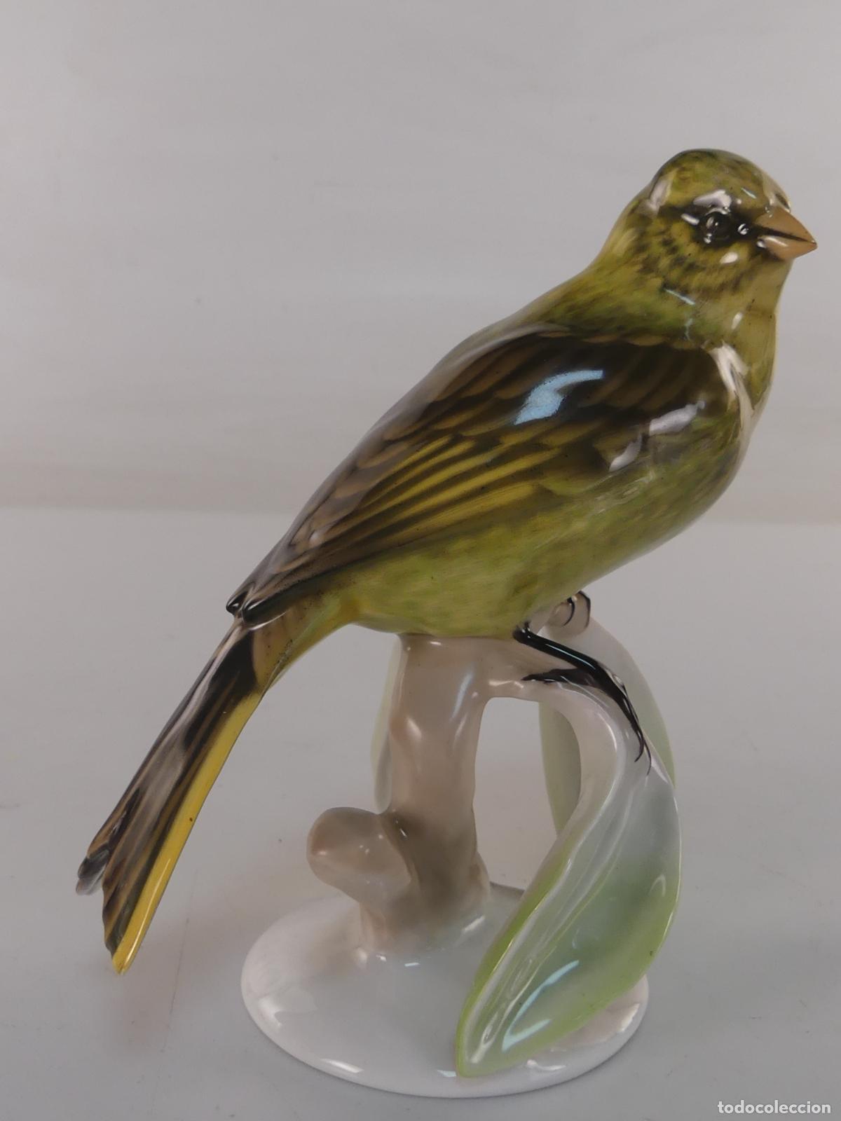 Antig&uuml;edades: FIGURA DE PAJARO DE PORCELANA DE ROSENTHAL