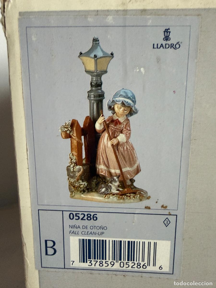 Antig&uuml;edades: Lladr&oacute; Ni&ntilde;a de Oto&ntilde;o, Fall clean-up - Foto 6