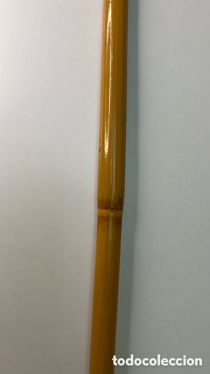 Antig&uuml;edades: CACHABA, GARROTE GARROTA BASTON DE MADERA DE BAMBU O JUNCO - Foto 3