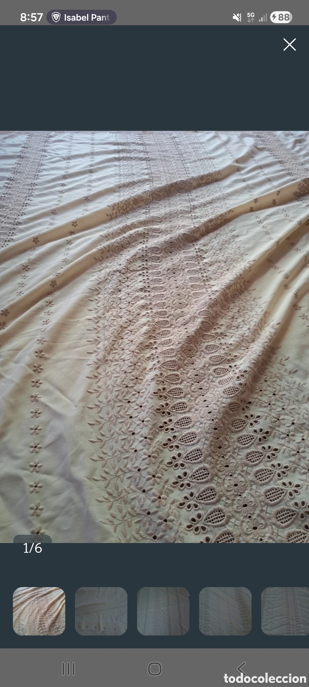 Antig&uuml;edades: Cortinas bordadas beige preciosas