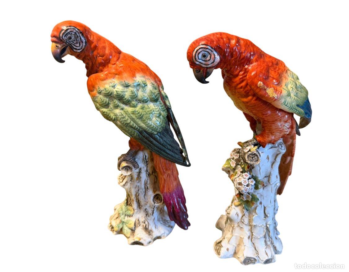 Antig&uuml;edades: PAREJA DE FIGURAS DE LOROS O GUACAMAYOS. PORCELANA ESMALTADA. ALEMANIA. XIX-XX.