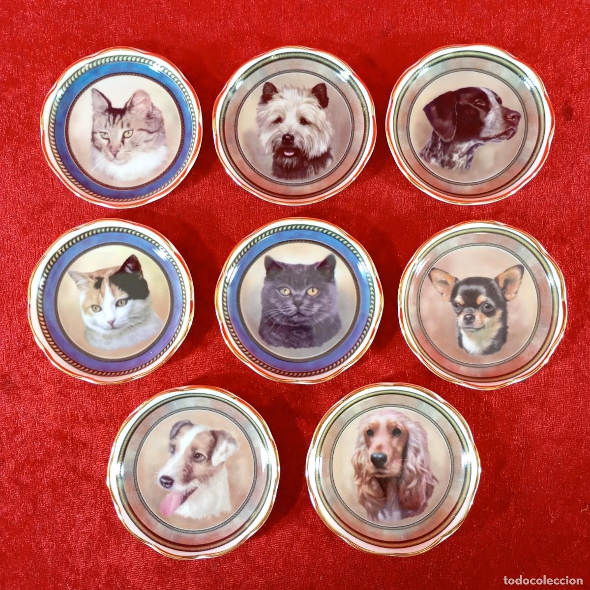 Antig&uuml;edades: COLECCION DE PLATOS CON PERROS Y GATOS MOIRA'S MINIATURES COVENT GARDEN STAFFORDSHIRE, ENGLAND 8 CM