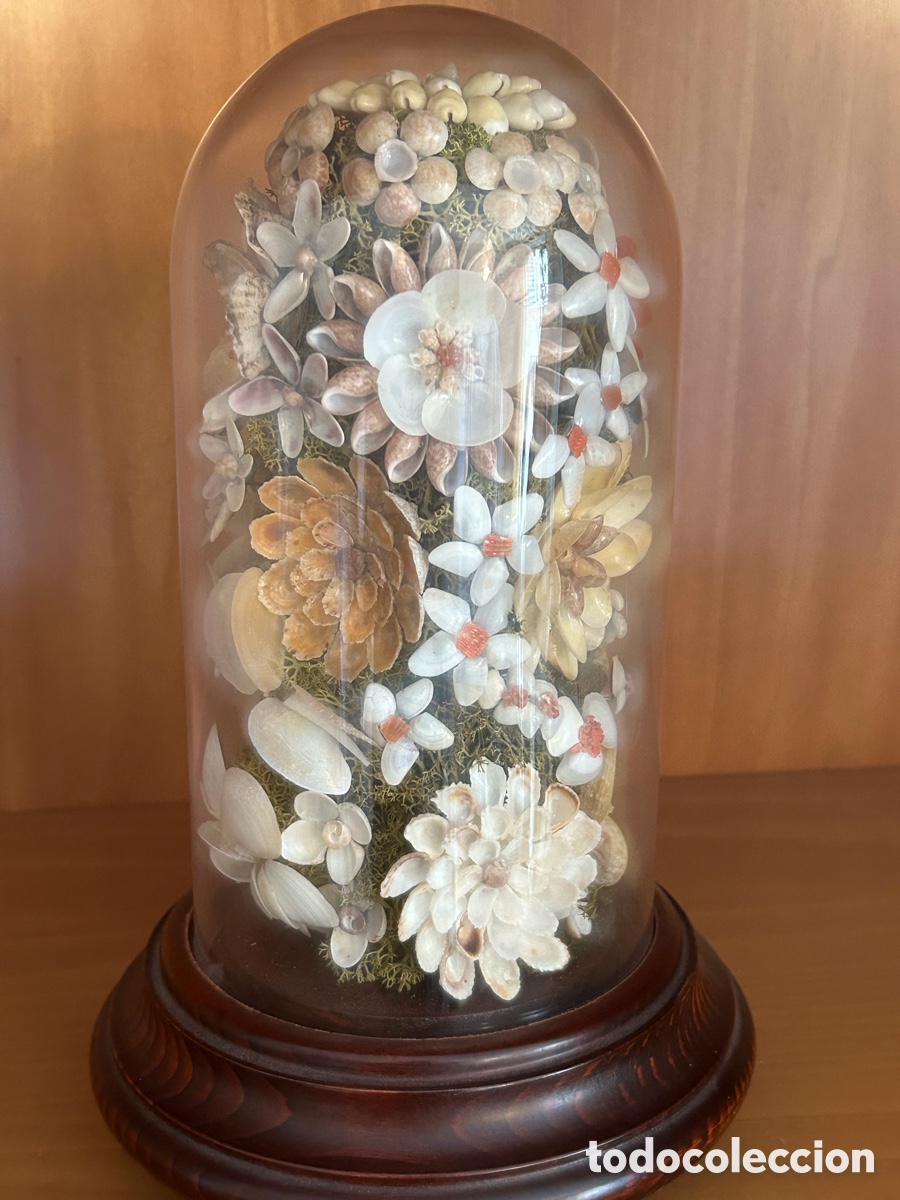 Antig&uuml;edades: Fanal flor concha Mallorca - Foto 2