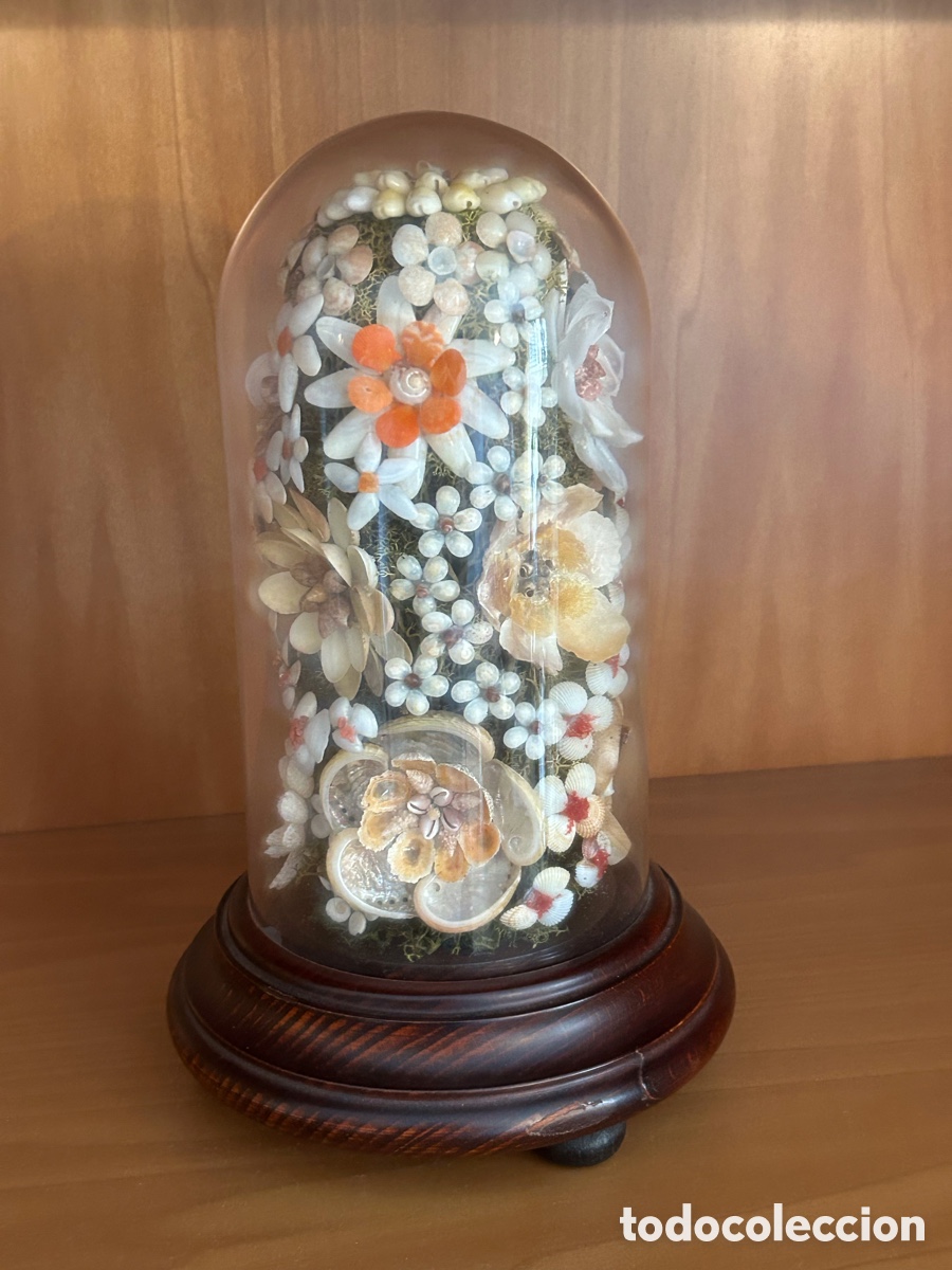 Antig&uuml;edades: Fanal flor concha Mallorca - Foto 4