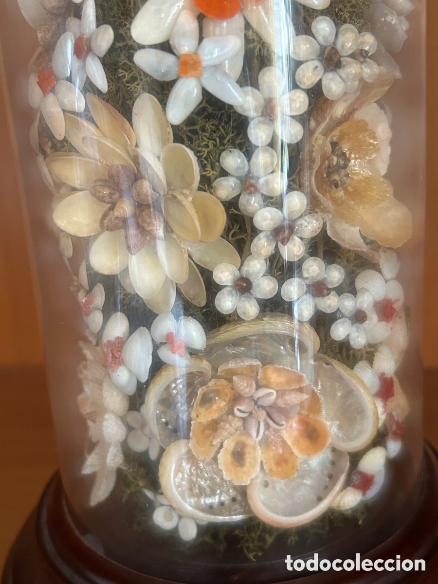 Antig&uuml;edades: Fanal flor concha Mallorca - Foto 5