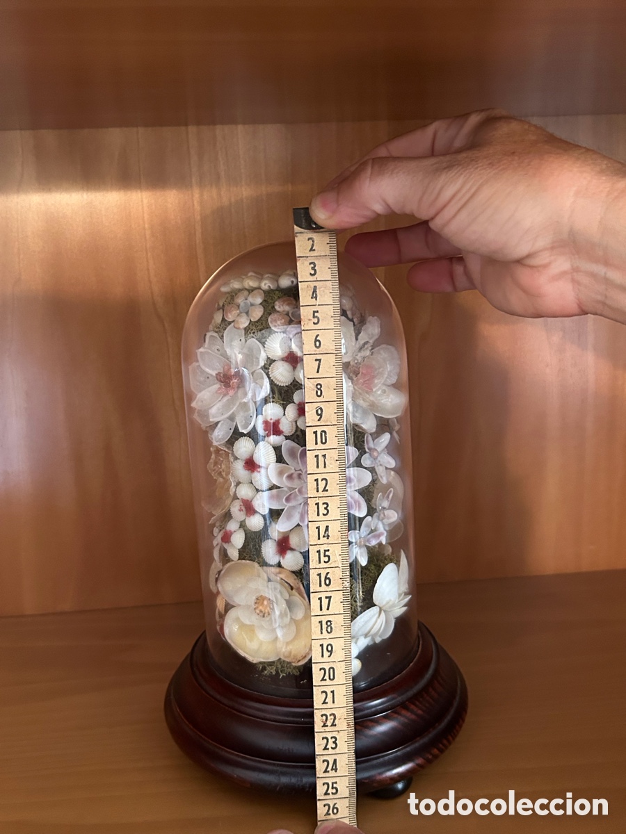 Antig&uuml;edades: Fanal flor concha Mallorca - Foto 7