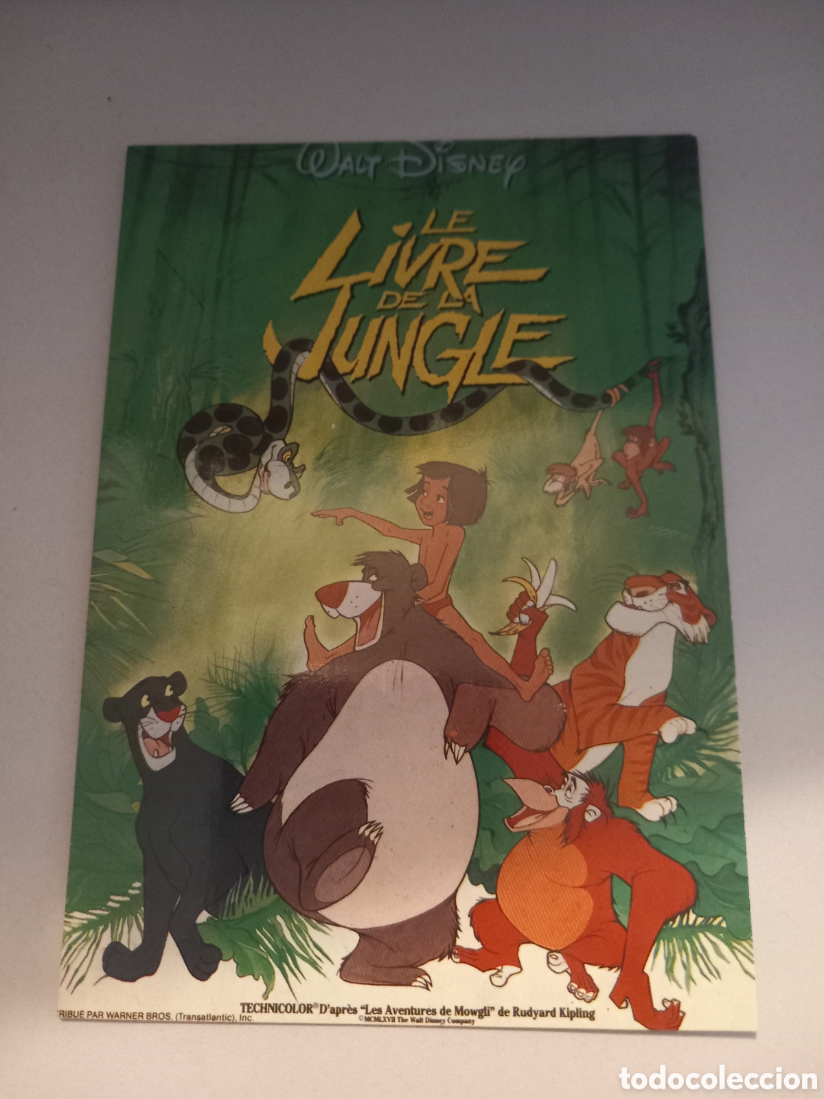 Antig&uuml;edades: Postal del Libro de la Selva