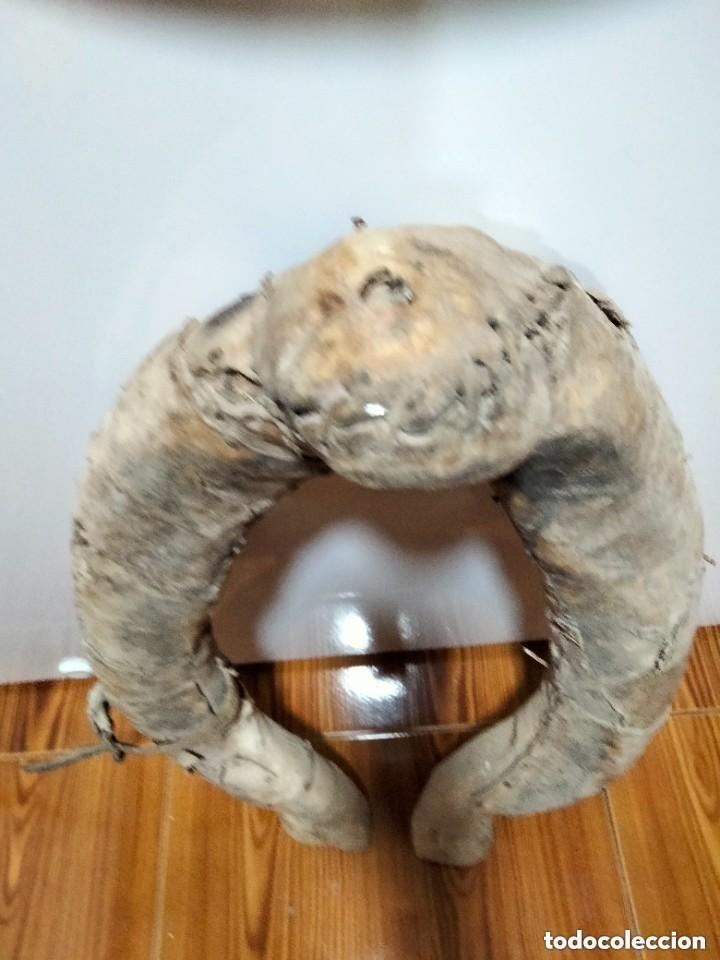 Antig&uuml;edades: COLLAR&Oacute;N BURRO PONY CABALLO - Foto 4