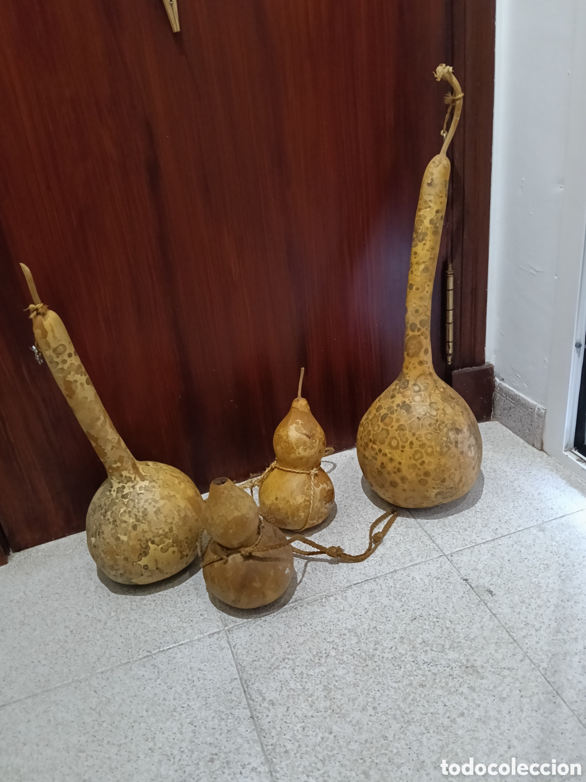 Antig&uuml;edades: Lote de calabazas de agua