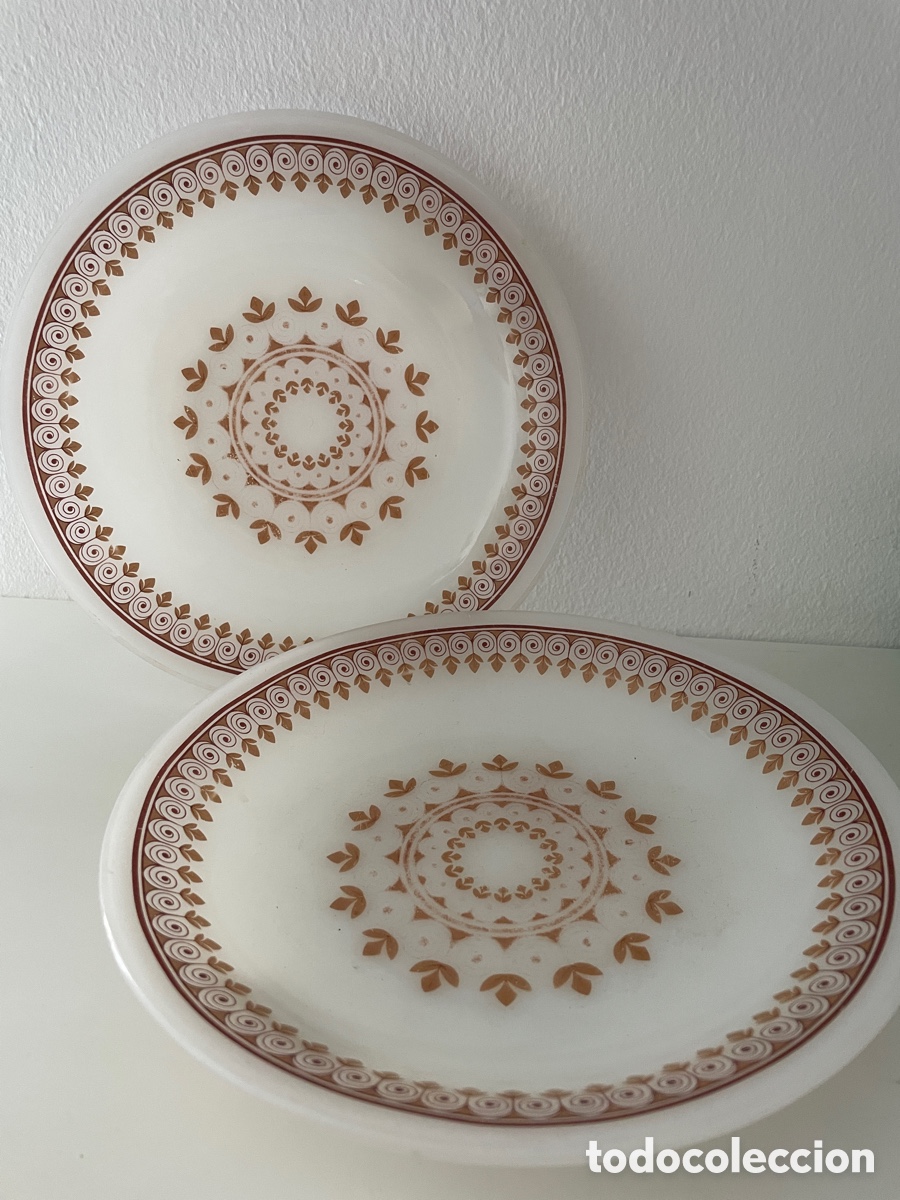 Antiquit&eacute;s: Pareja de platos Arcopal. Marr&oacute;n y blanco. Opalina.