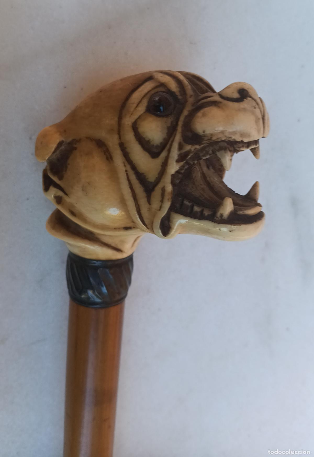 Antig&uuml;edades: ANTIGUO PARAGUAS MANGO CABEZA DE PERRO - Foto 2