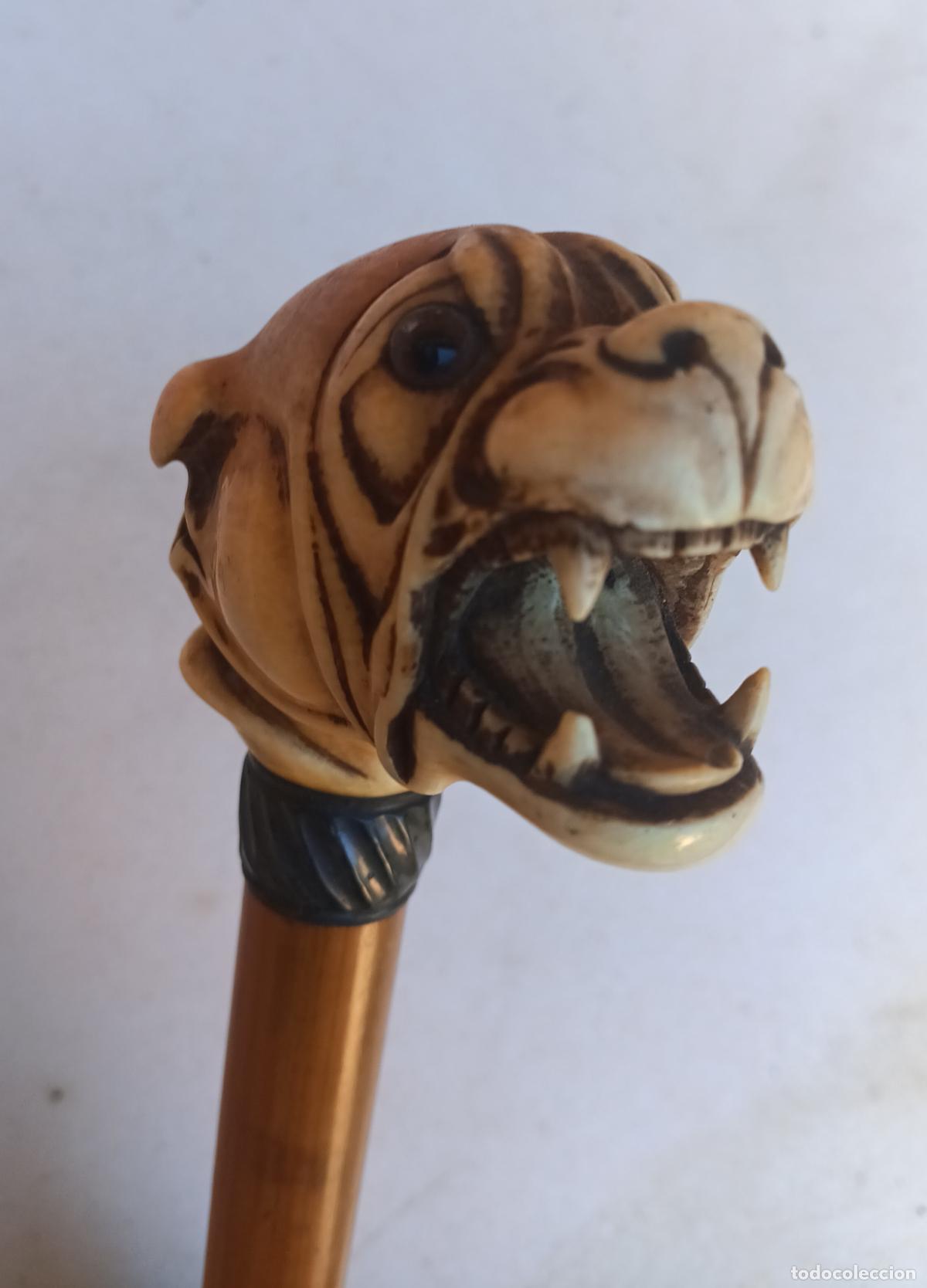 Antig&uuml;edades: ANTIGUO PARAGUAS MANGO CABEZA DE PERRO - Foto 3
