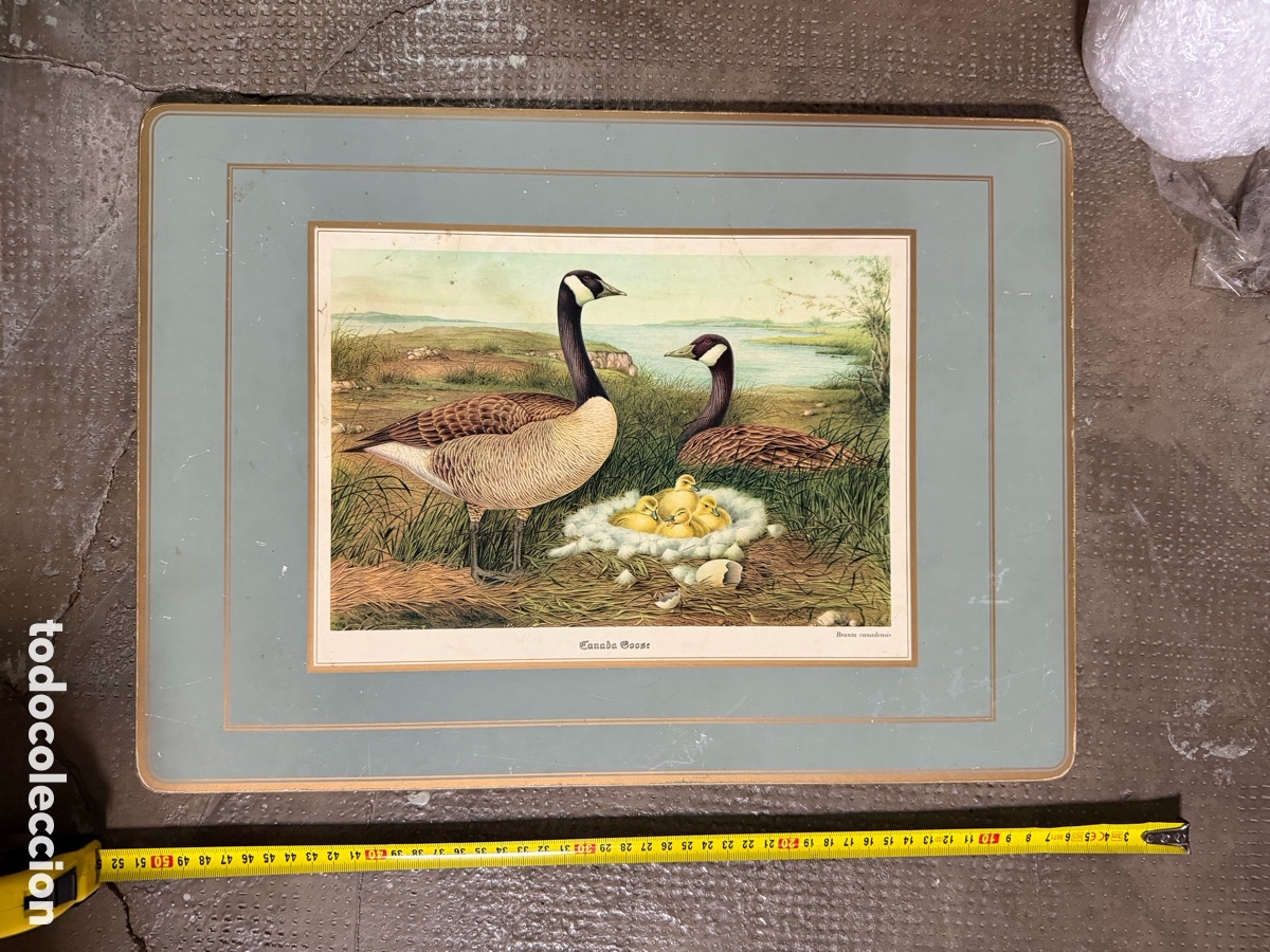Antig&uuml;edades: Salvamantel de Aves Antiguo - Foto 2