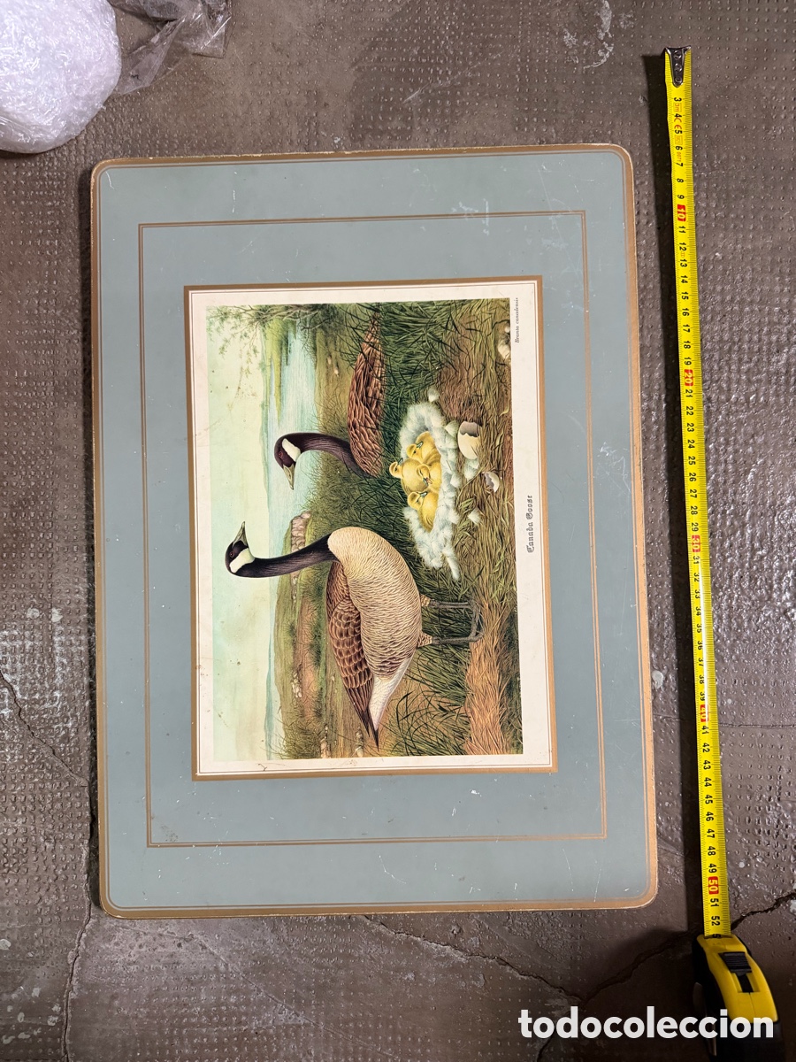 Antig&uuml;edades: Salvamantel de Aves Antiguo - Foto 5