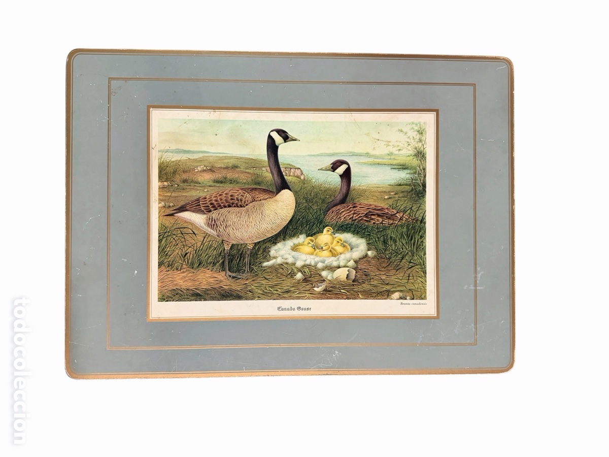 Antig&uuml;edades: Salvamantel de Aves Antiguo
