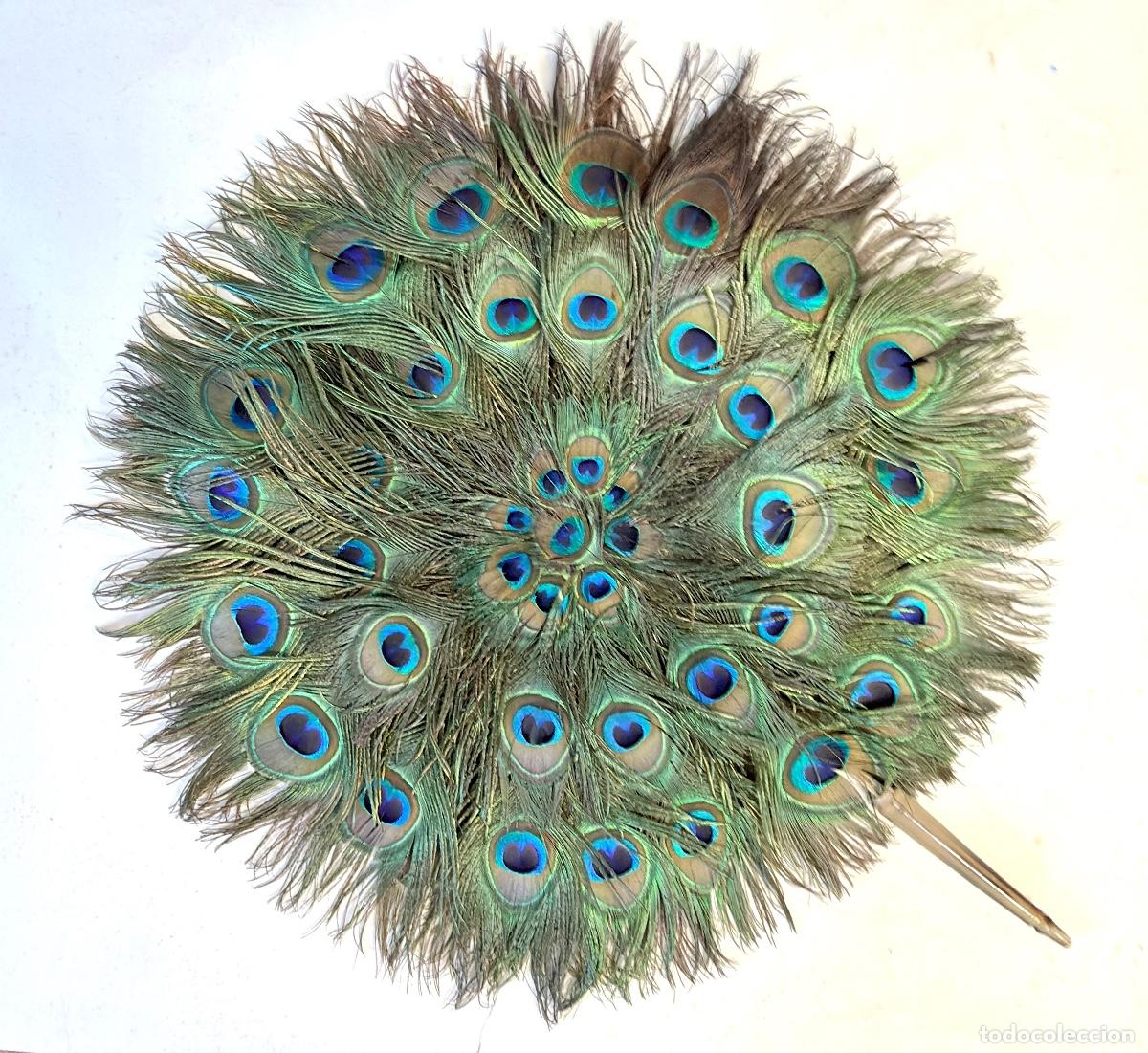 Antig&uuml;edades: ABANICO R&Iacute;GIDO TIPO PANTALLA DE PLUMAS NATURALES DE PAVO REAL, DOBLE CARA, CON MANGO DE ASTA