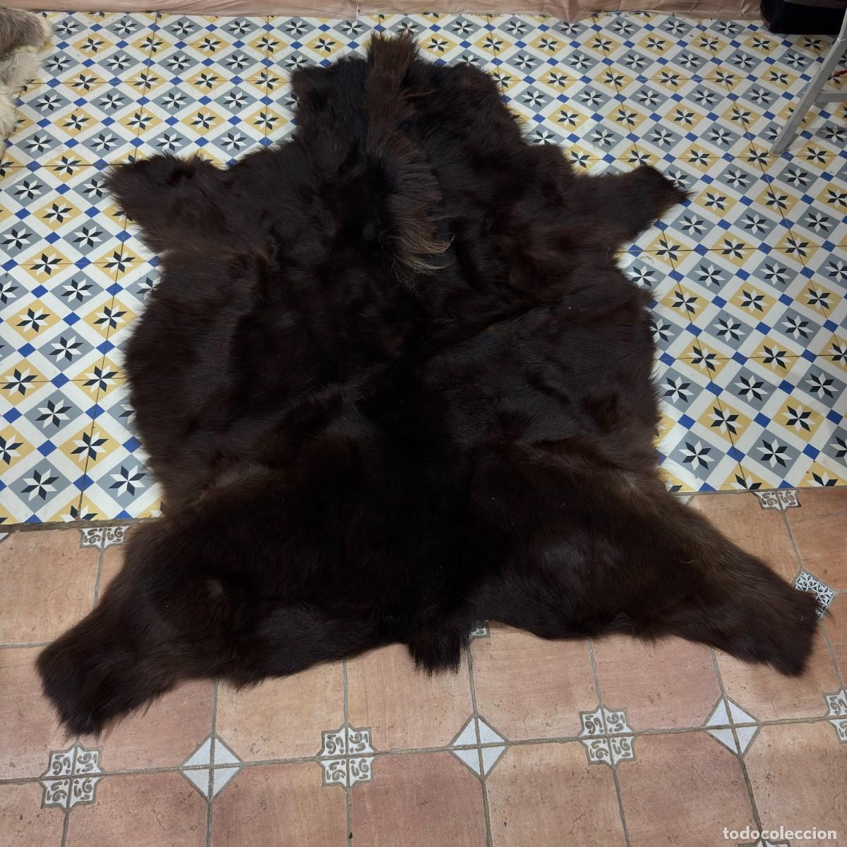 Antig&uuml;edades: Alfombra de piel de oveja australiana con forma de oso de peluche: Marr&oacute;n