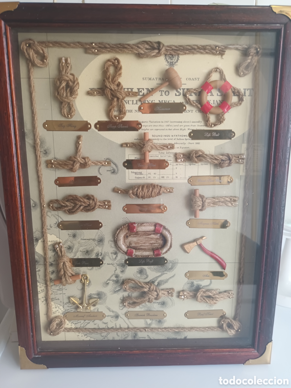 Antig&uuml;edades: ANTIGUO CUADRO CON EXPOSICI&Oacute;N DE NUDOS MARINEROS ENMARCADO EN MADERA PROTEGIDO EN CRISTAL