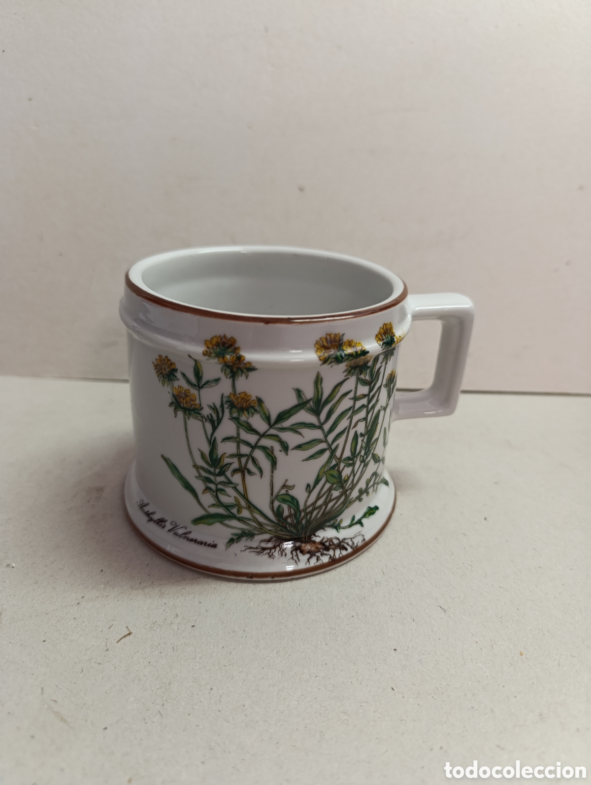 Antig&uuml;edades: TAZA DE PORCELANA HERRANDIZ. MADE IN SPAIN. MOTIVO BOTANICO.