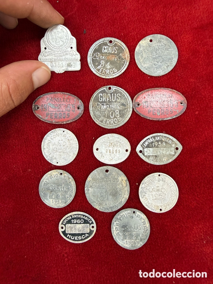 Antig&uuml;edades: Gran lote de placas identificadoras a&ntilde;os 50,caninas!
