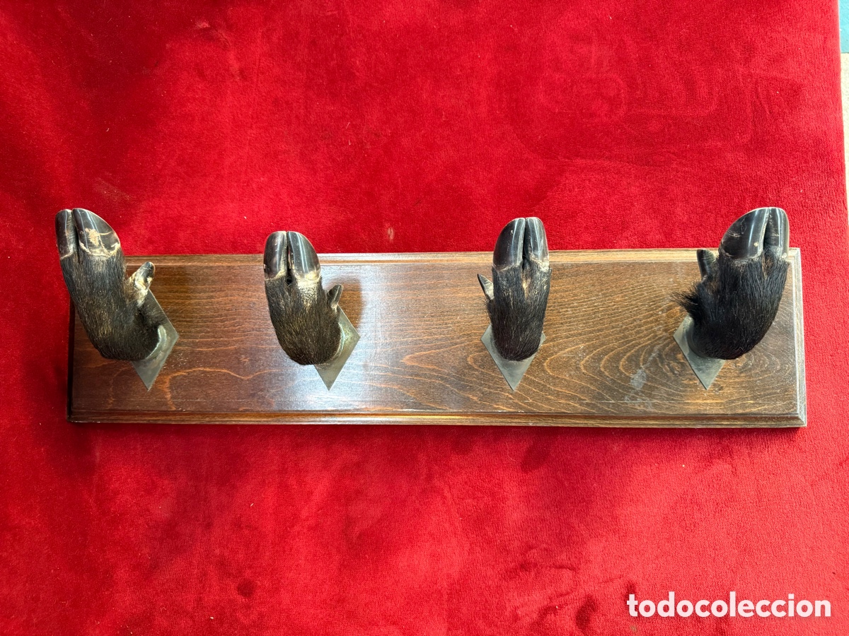 Antig&uuml;edades: Bonito perchero,Patas de Jabali,Taxidermistas Pradas,Madrid!