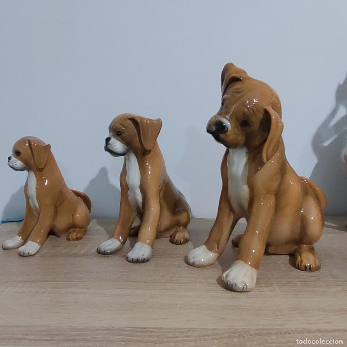 Antig&uuml;edades: Ronzan tres perros boxer trio - Foto 2