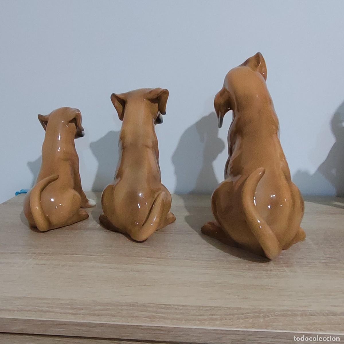 Antig&uuml;edades: Ronzan tres perros boxer trio - Foto 3