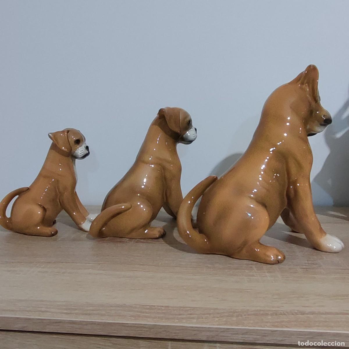 Antig&uuml;edades: Ronzan tres perros boxer trio - Foto 4