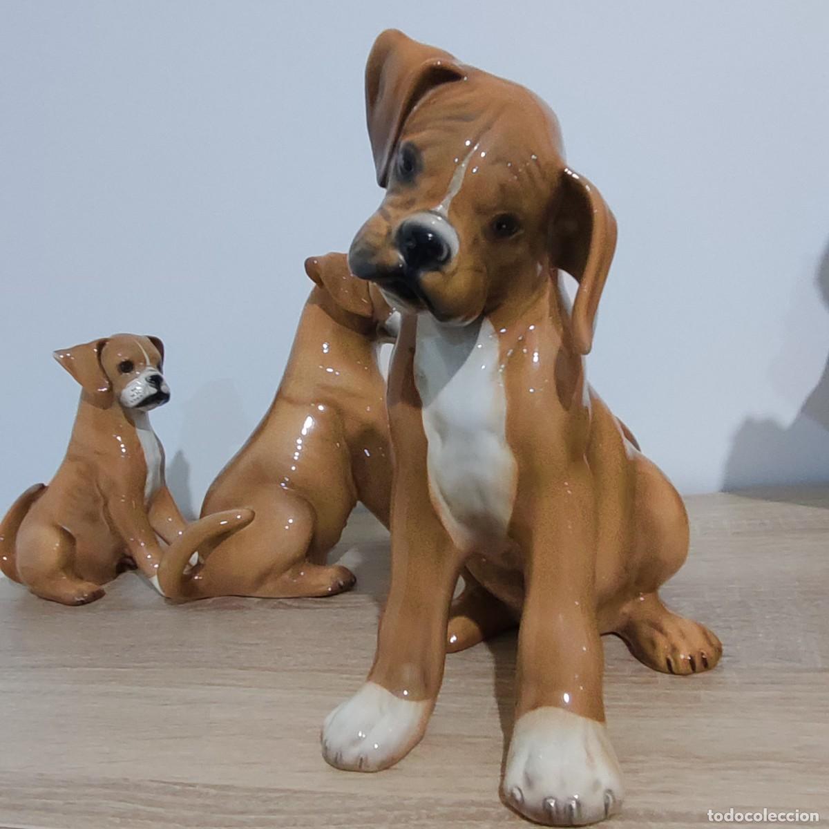 Antig&uuml;edades: Ronzan tres perros boxer trio - Foto 6