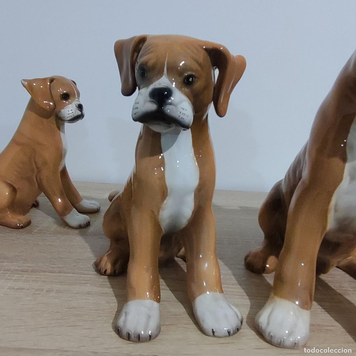 Antig&uuml;edades: Ronzan tres perros boxer trio - Foto 7