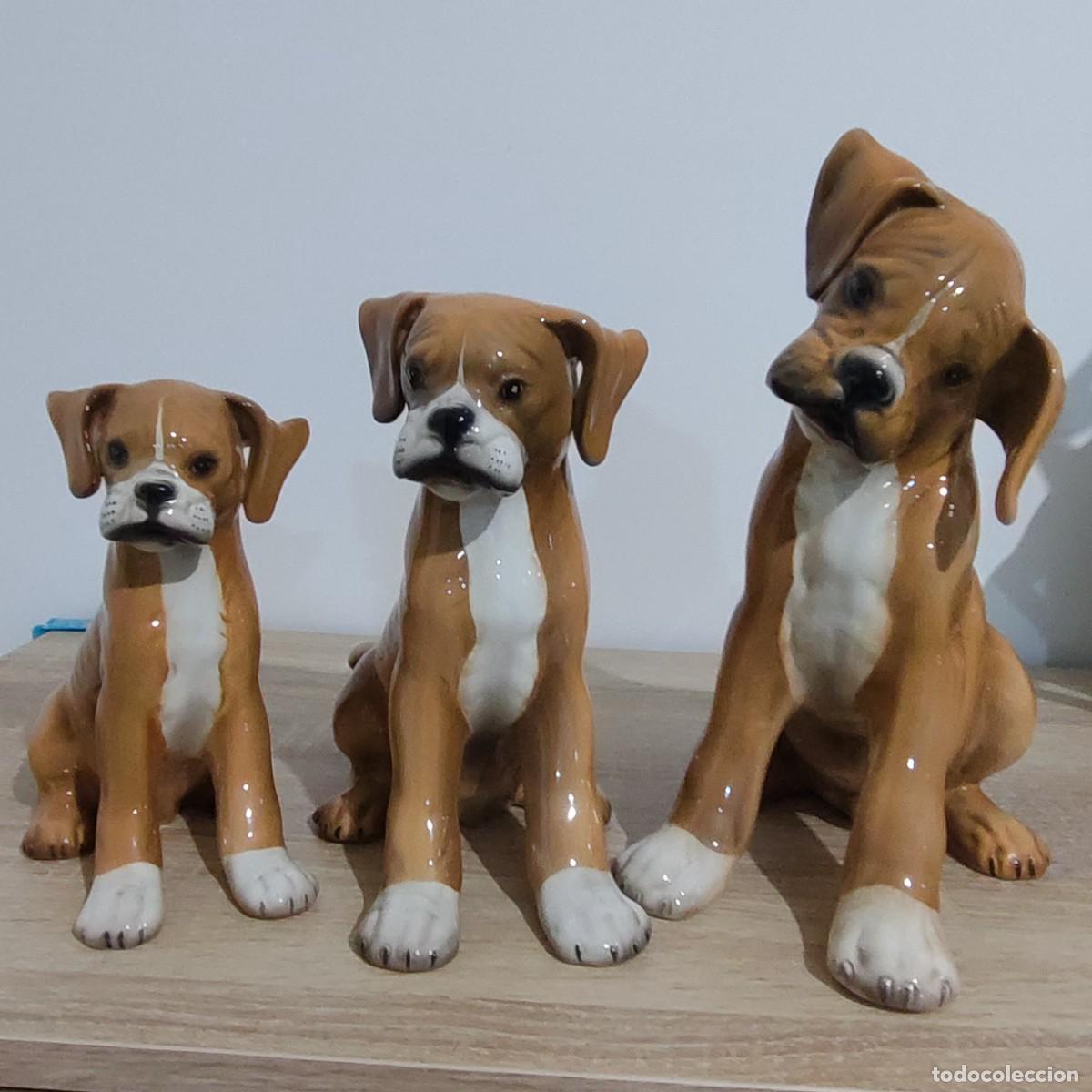 Antig&uuml;edades: Ronzan tres perros boxer trio - Foto 8