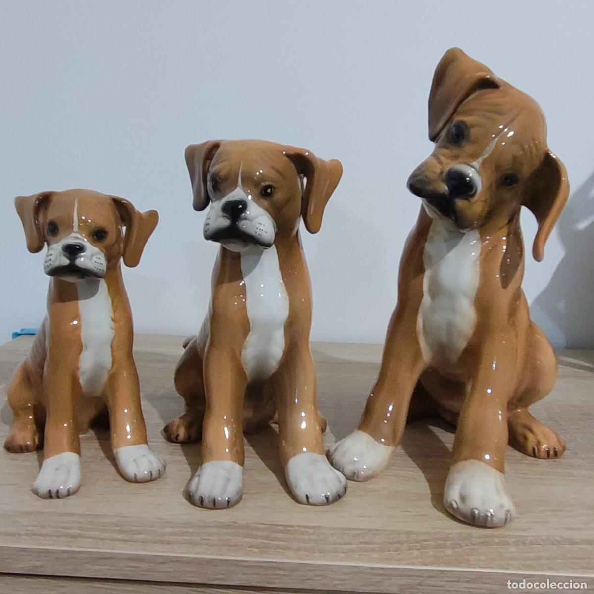 Antig&uuml;edades: Ronzan tres perros boxer trio - Foto 10