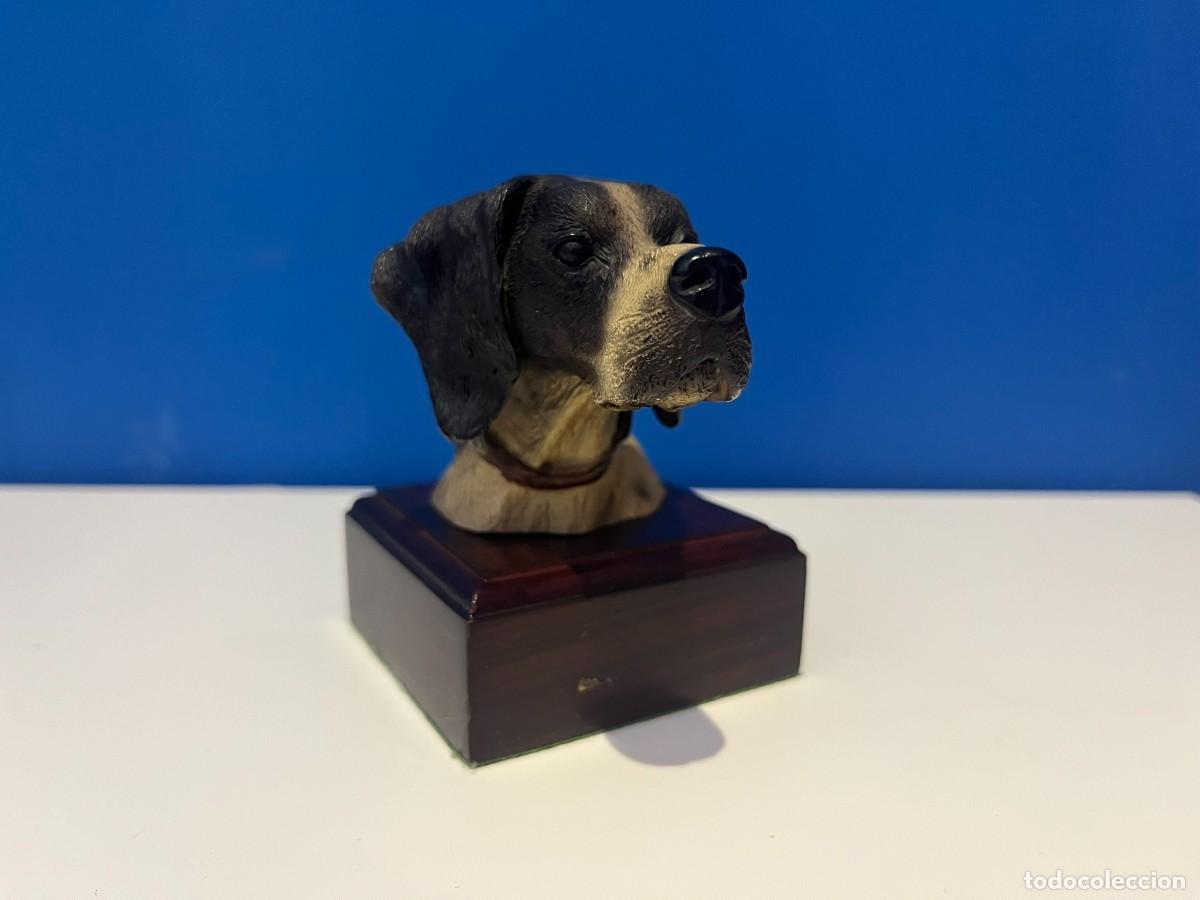 Antig&uuml;edades: Busto de perro de caza Pointer en resina sobre peana de madera - Circa 1980-1990